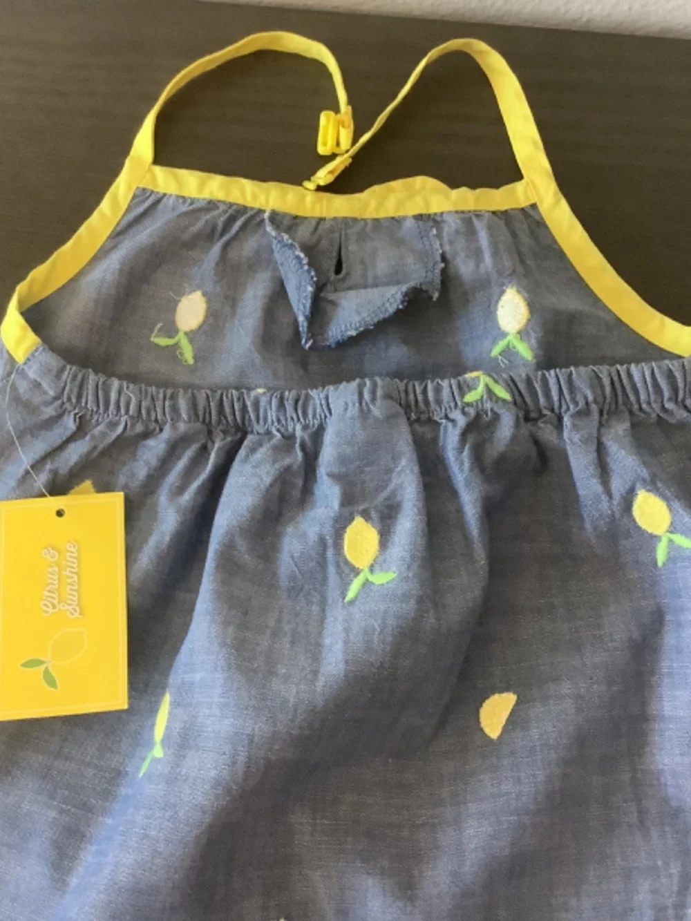 NWT Gymboree Girls Chambray Citrus Halter Top And Shorts Blue Denim Set 3T & 5T